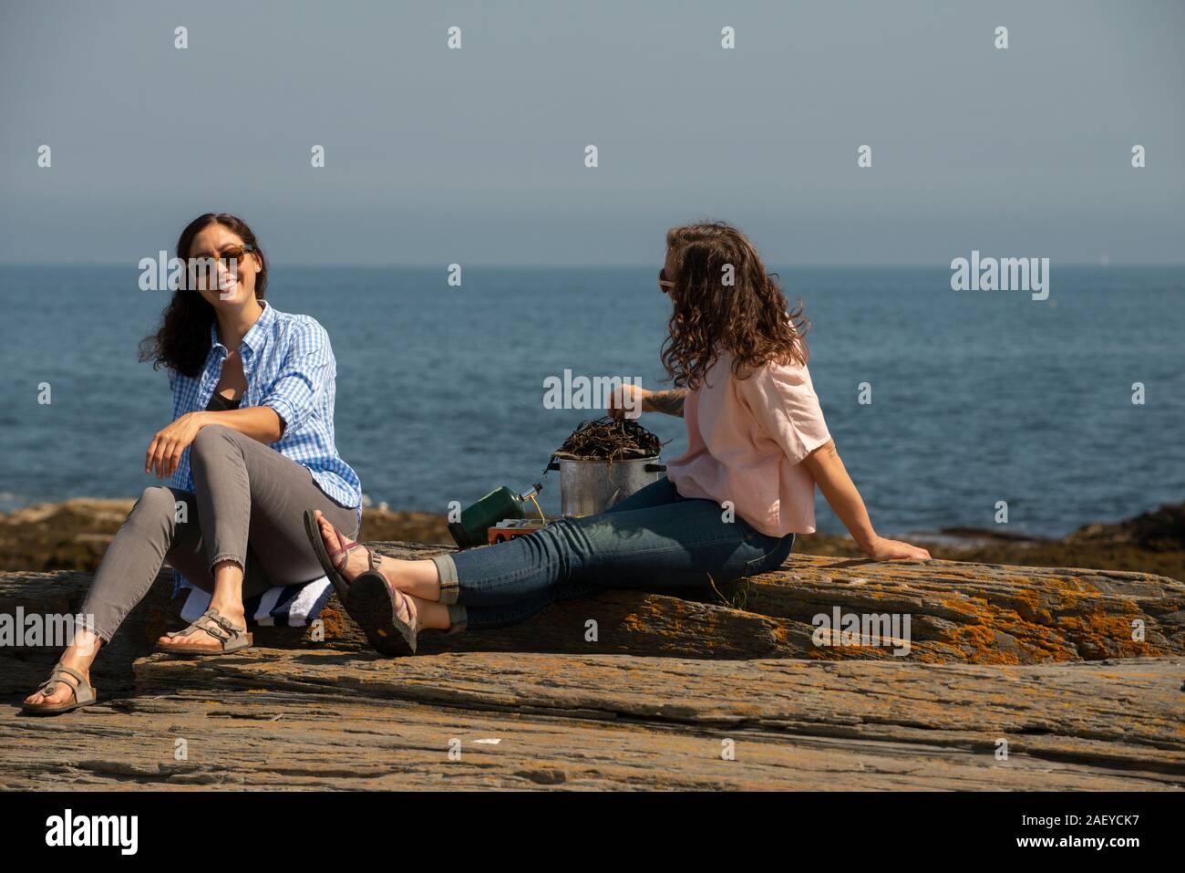 Two women cooking lobsters outside on the coast of Maine. Stock Photo