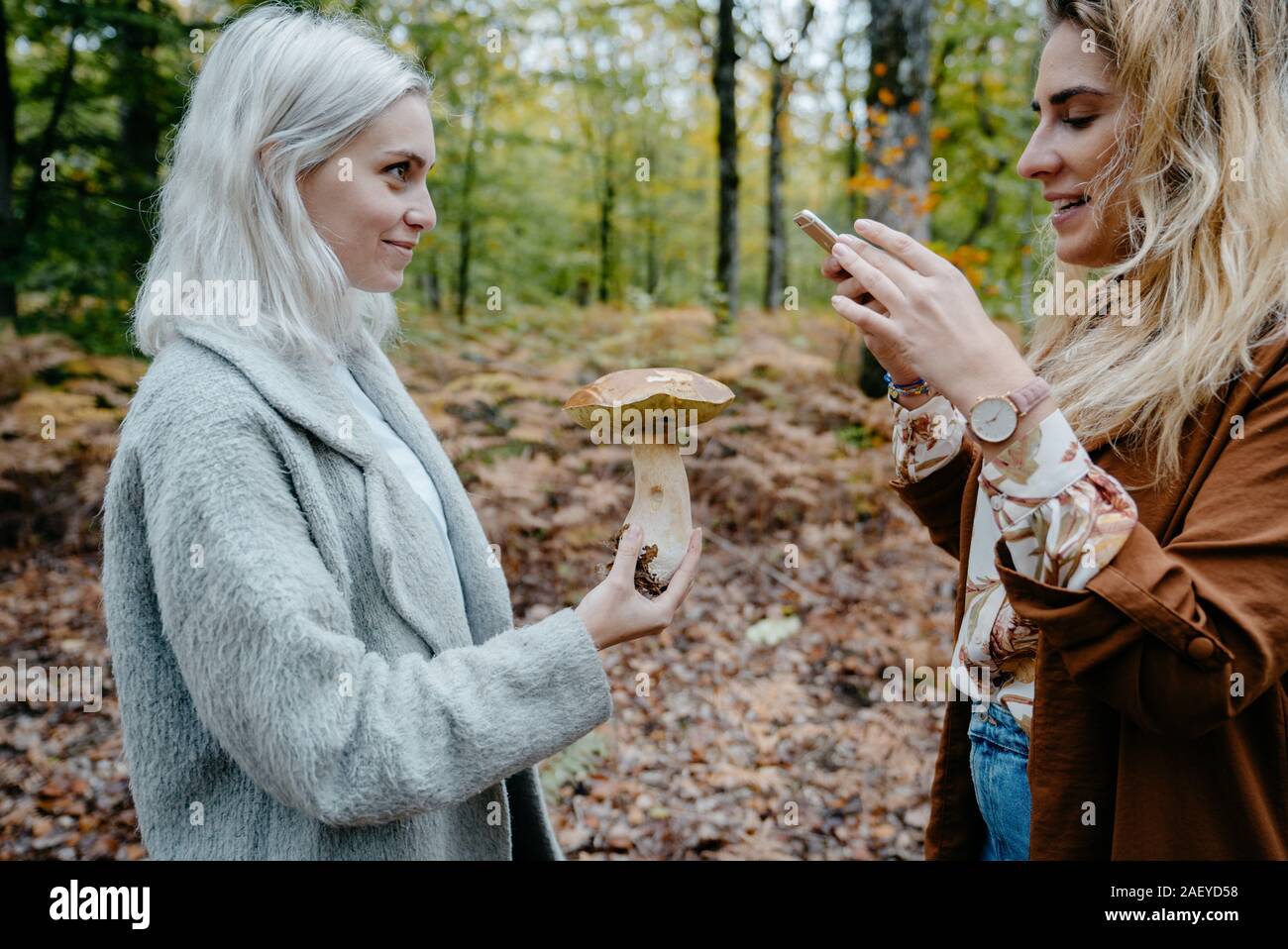 Two young women taking snapshot of a mushroom in a forest Stock Photo