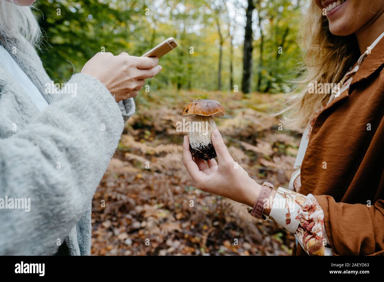 Young women taking snapshot of a porcini mushroom in a forest Stock Photo