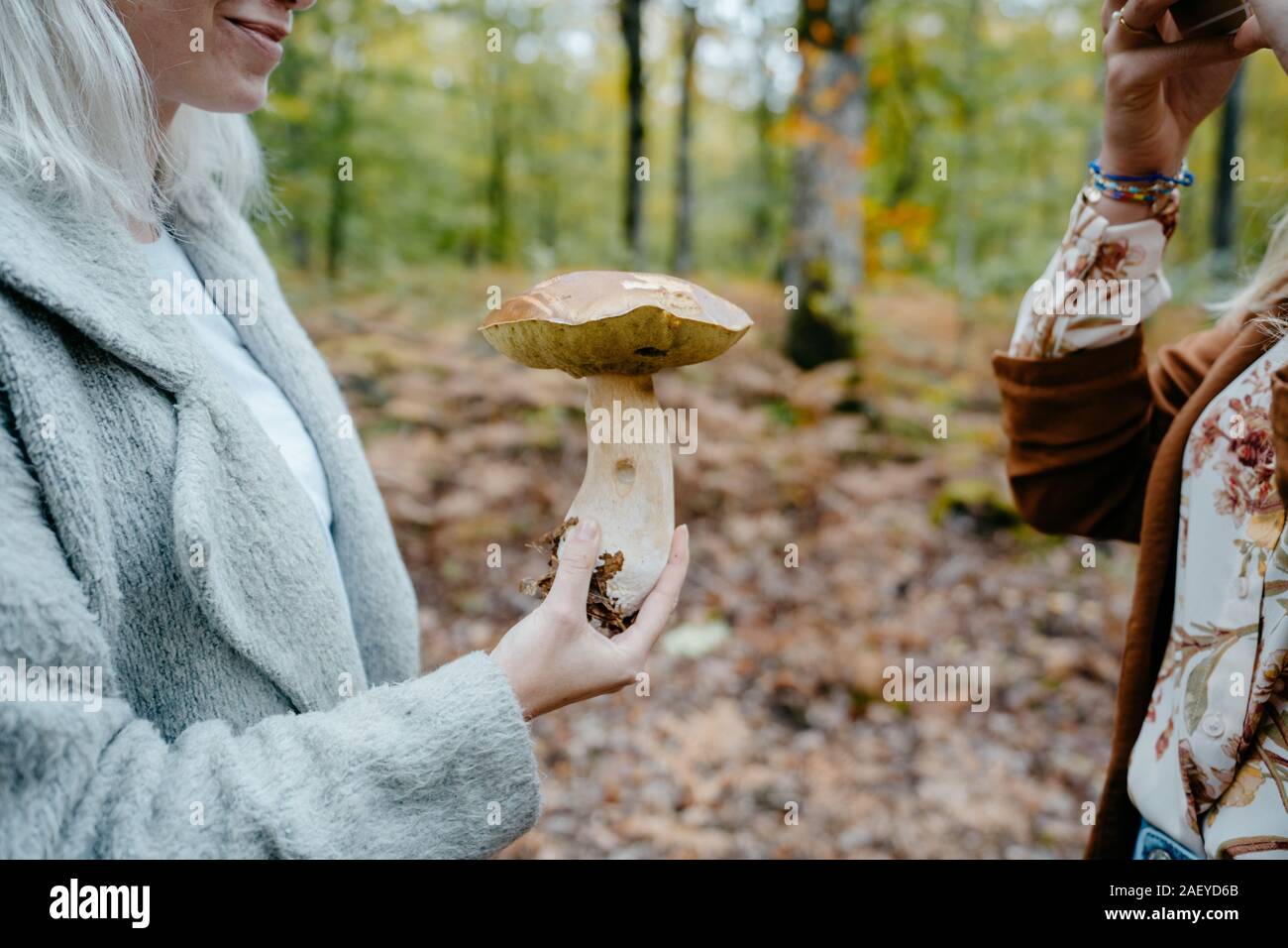 Young Women taking pictures of a giant mushroom in a forest Stock Photo