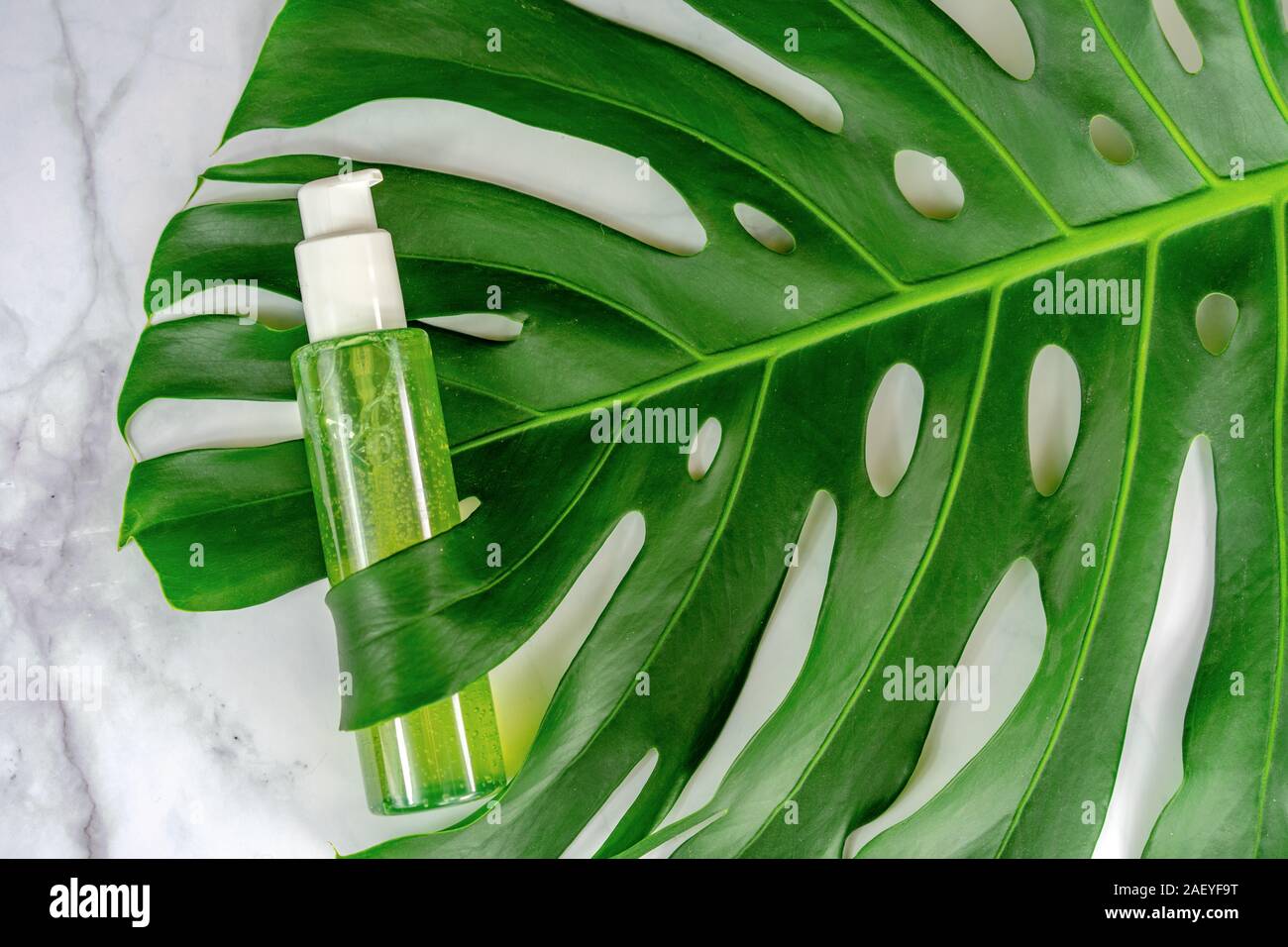 monastera leaf holding bio cosmetic product on marble background . Stock Photo