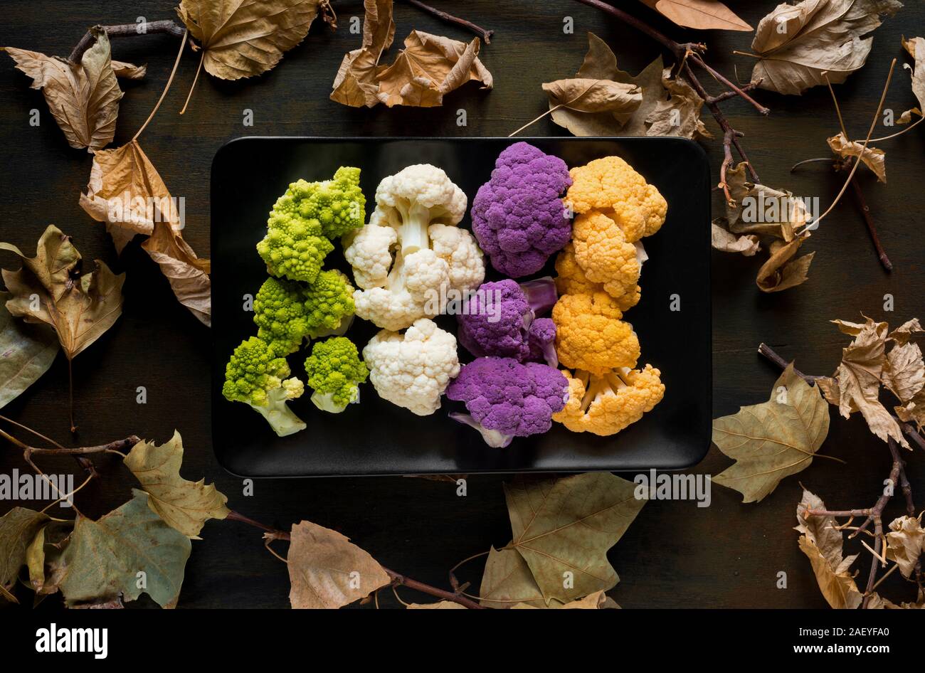 various type colored cabbage on autumnal background Stock Photo