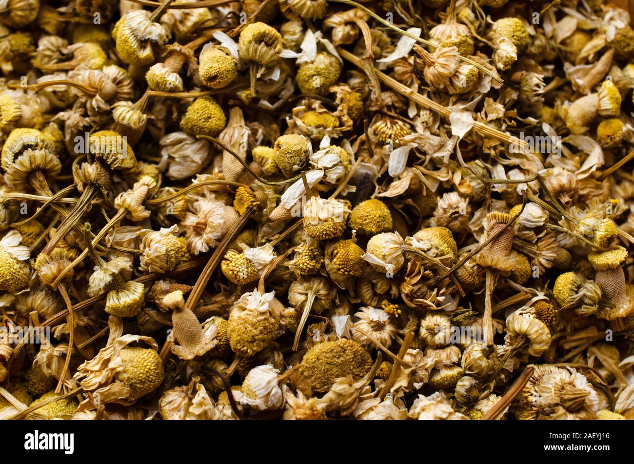 Dried yellow chamomile flowers with stems, collected together and photographed from above as a background image.. Stock Photo