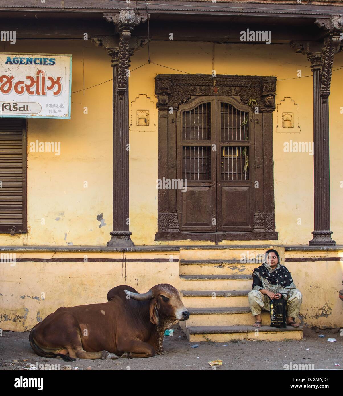 A woman and a cow sit outside an old house with a brown wooden door and wooden pillars. Gujarati text on a board announces that it's a business agency. Stock Photo