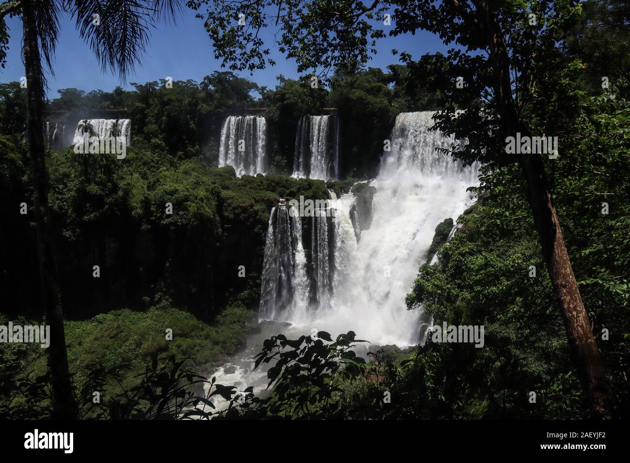 IGUAZU, 05.12.2019: View of Iguazu Falls, brazilian and argentinian side with some native species of fauna and flora (Néstor J. Beremblum / Alamy) Stock Photo