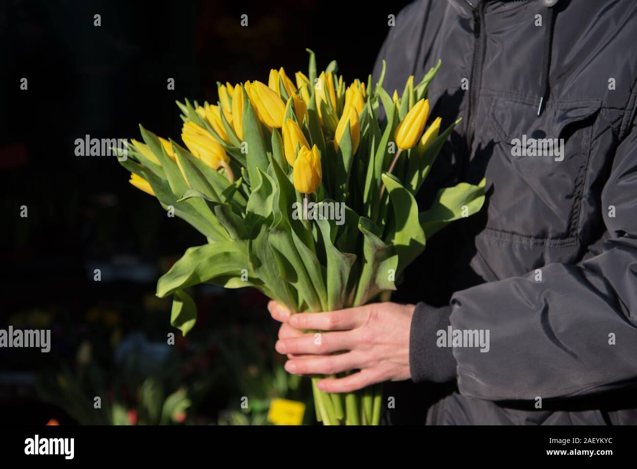 Bouquet of tulips in man hands on bazaar. Stock Photo