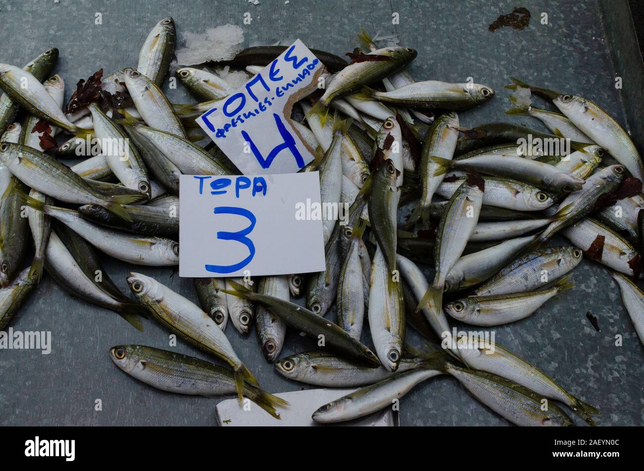 Seafood stall at the weekly Thursday market in Glyfada Athens Greece Stock Photo