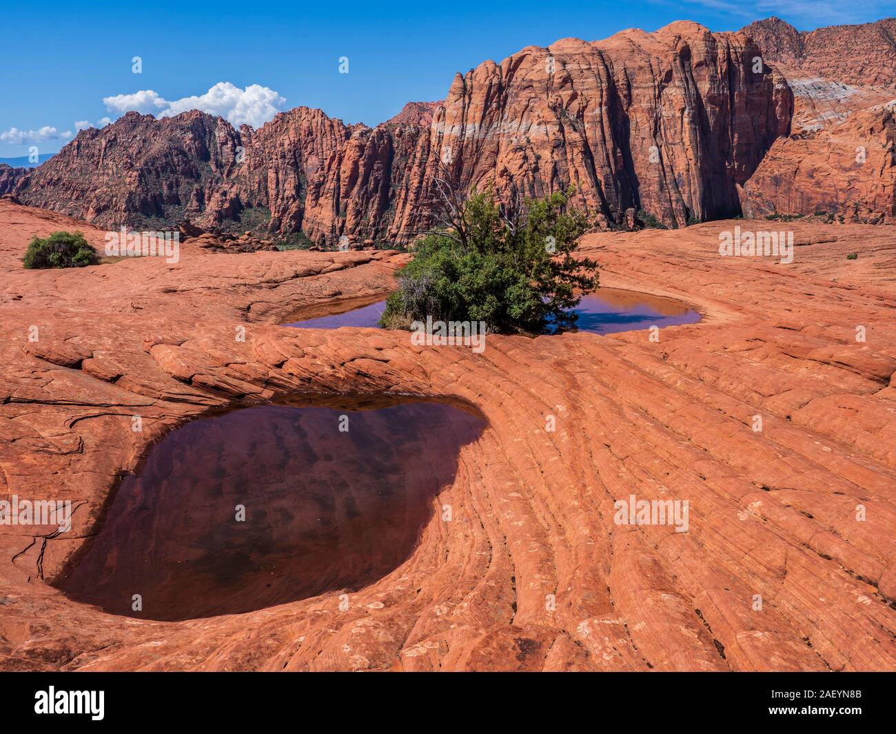Twin potholes filled with water, Petrified Dunes, Snow Canyon State Park, Saint George, Utah. Stock Photo
