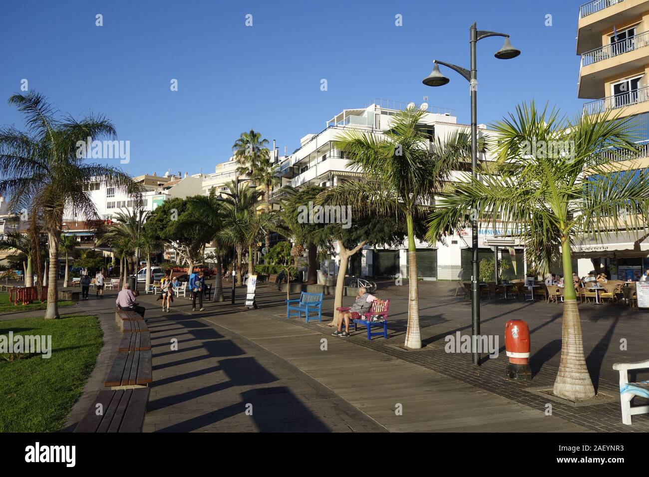 Tenerife, canary island, a spanish island, spain,off the coast of north west africa Stock Photo