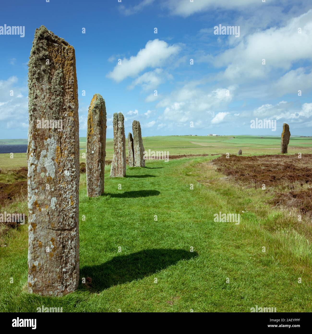 Standing stones of the Ring of Brodgar, located near the Ness of