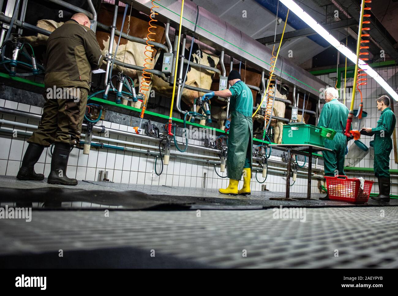 Left Puts Stock Photos Left Puts Stock Images Alamy