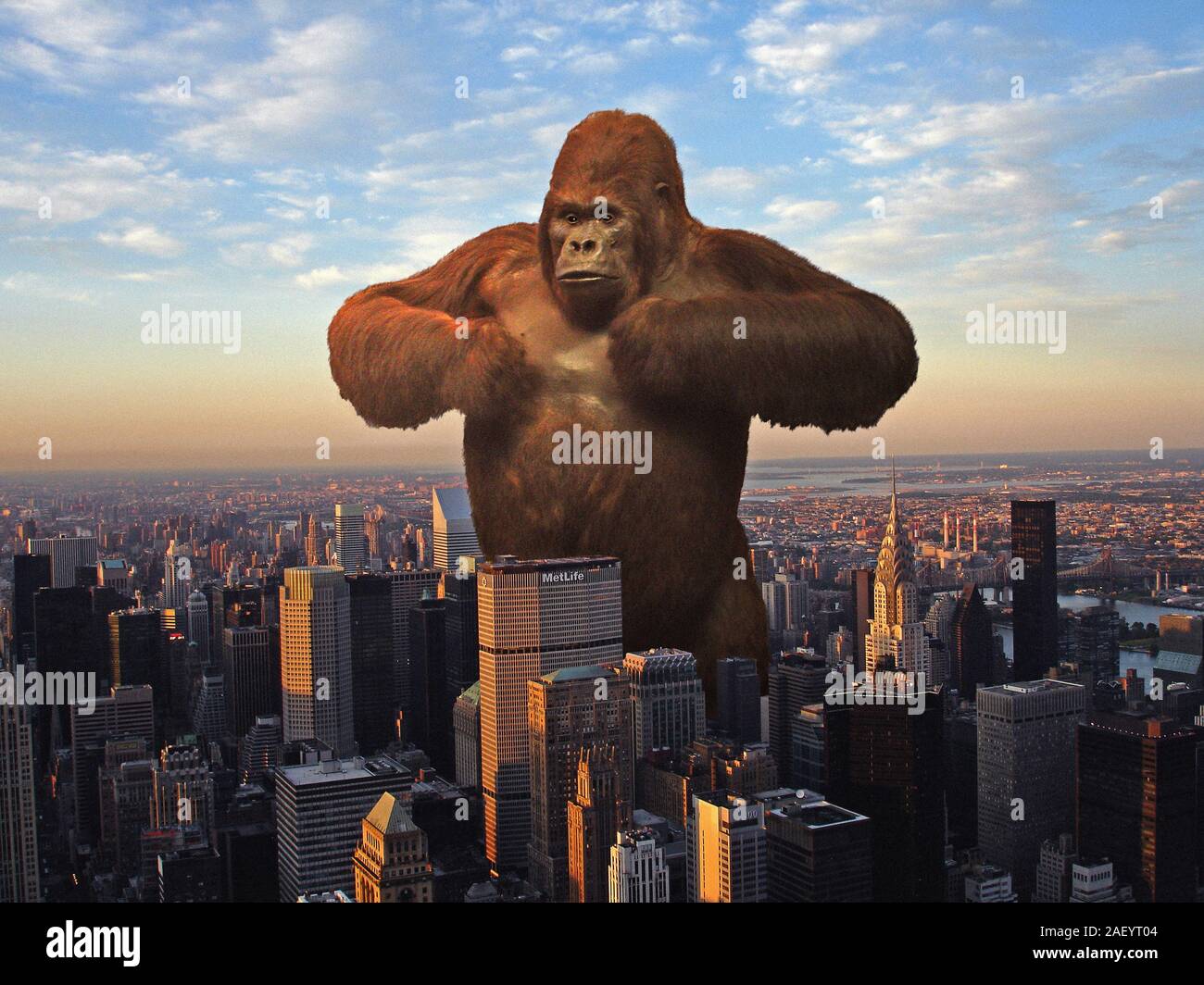 Giant Gorilla against New York City Skyline Stock Photo Alamy