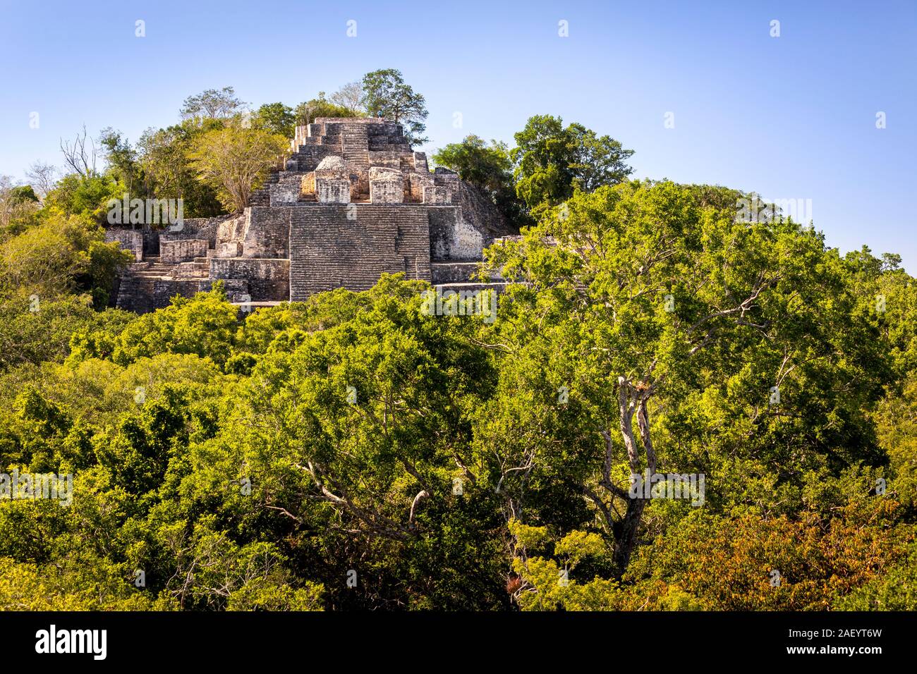The main pyramid (Structure II) at Calakmul Archaeological Site in Campeche, Mexico. Stock Photo