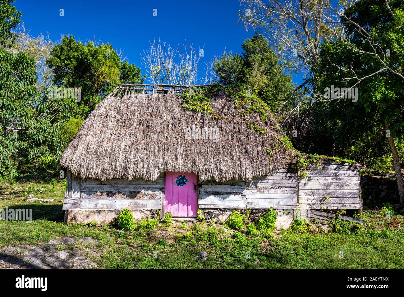A thatched roof home in the colorful village of Chaacchoben, Quintana Roo, Mexico. Stock Photo