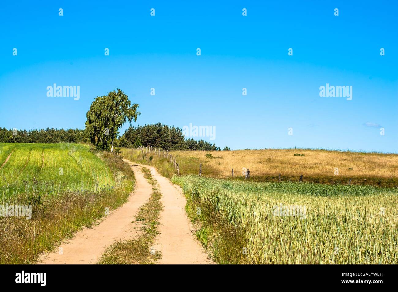 Countryside landscape, farm field, rural scenery with country road ...