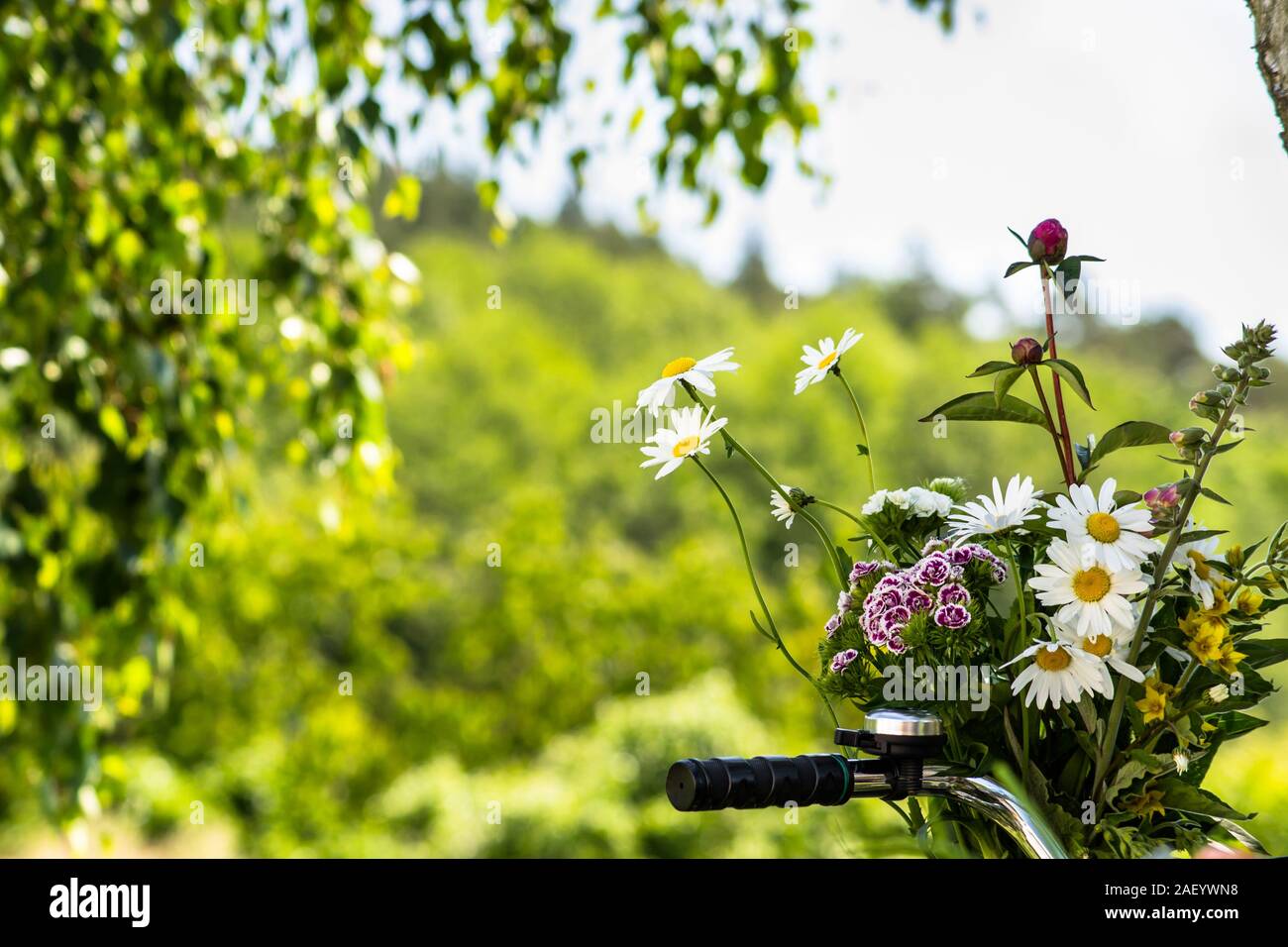 Bunch of flowers in a basket of bike with the handlebars on a blurry green garden background Stock Photo