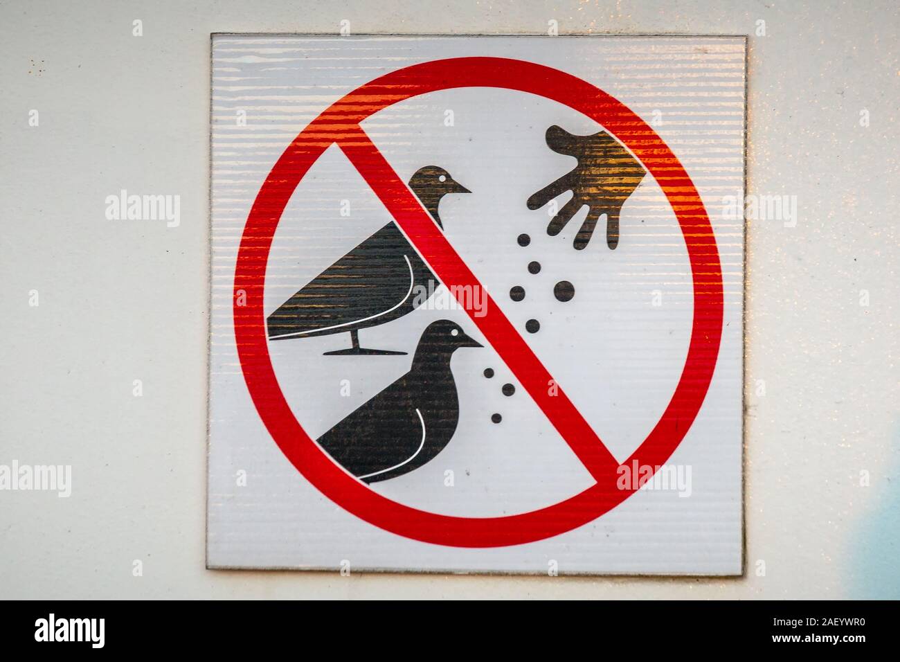 Do Not Feed The Birds Sign At Suomenlinna Finland Stock Photo Alamy do-not-feed-the-birds-sign-at-suomenlinna-finland-stock-photo-alamy
