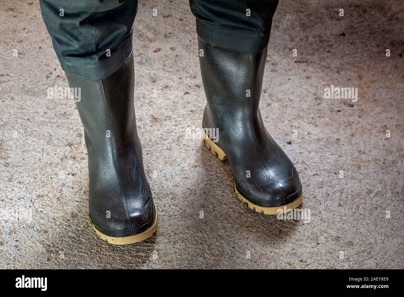 https://c8.alamy.com/comp/2AEYXE9/fisherman-rubber-waterproof-boots-for-fishing-2AEYXE9.jpg