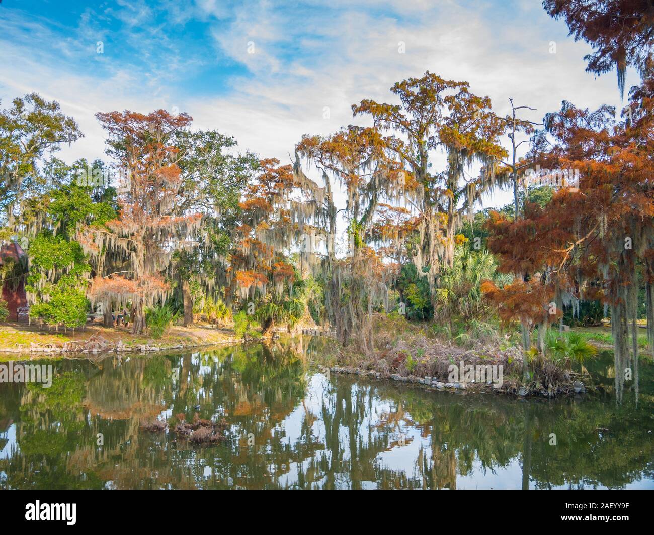 Beautiful view of a lagoon surrounded by majestic trees in City Park