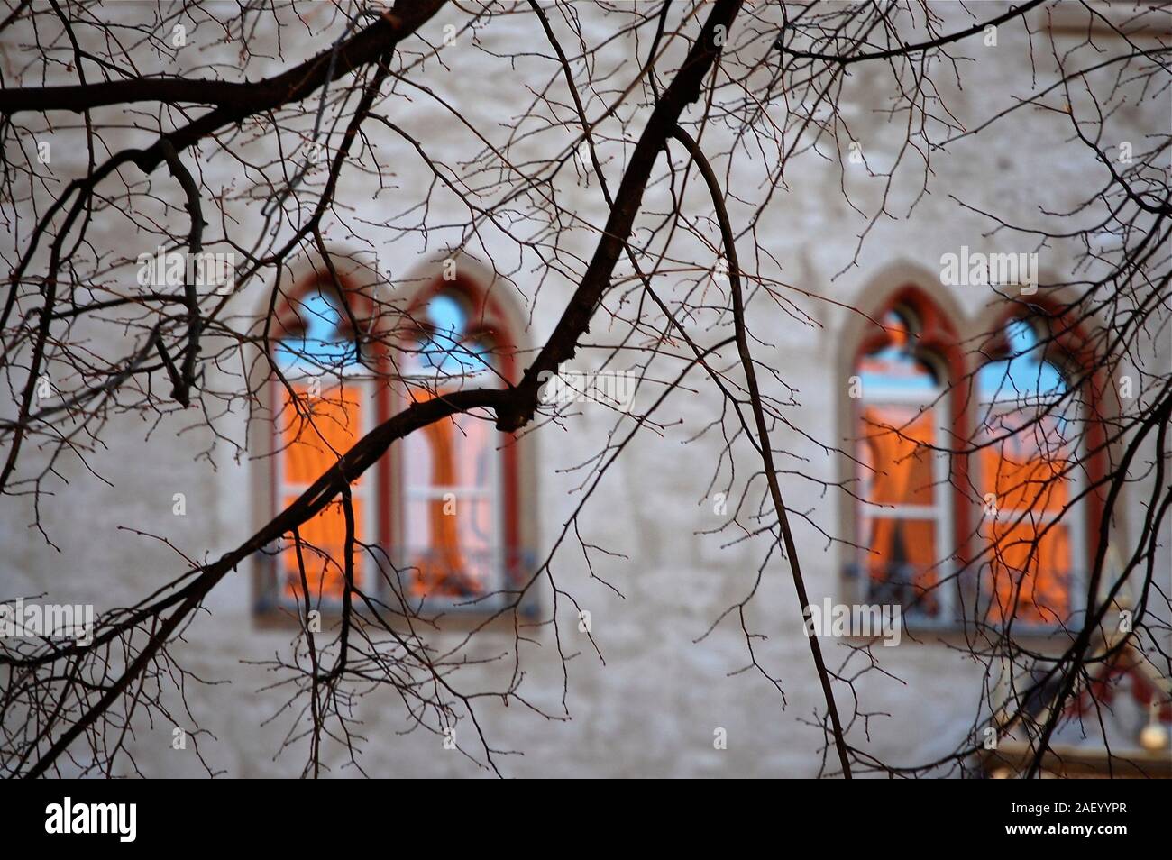 the tree and the window Stock Photo - Alamy