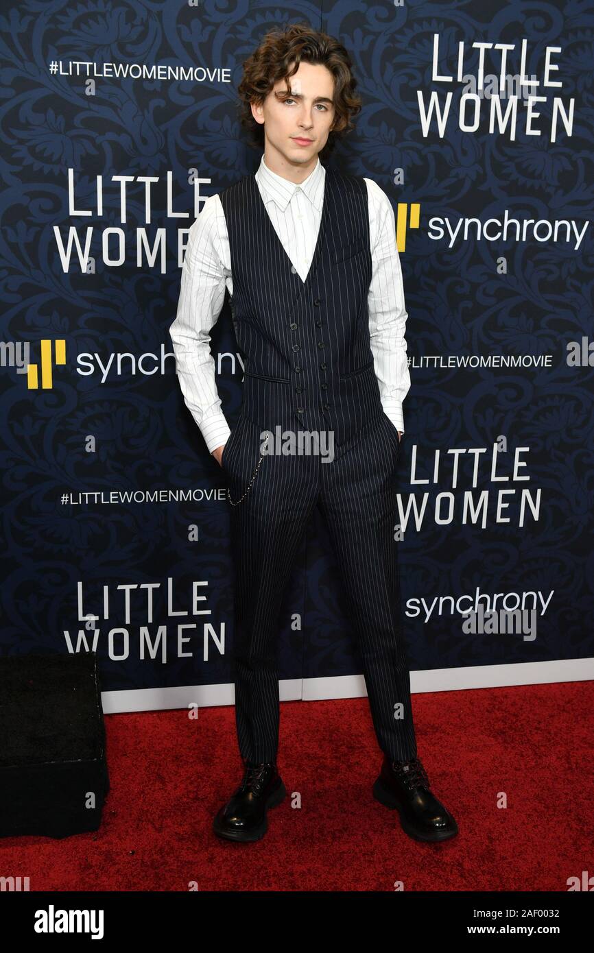Timothee Chalamet attends the world premiere of Little Women at Museum of  Modern Art on December 07, 2019 in New York City Stock Photo - Alamy