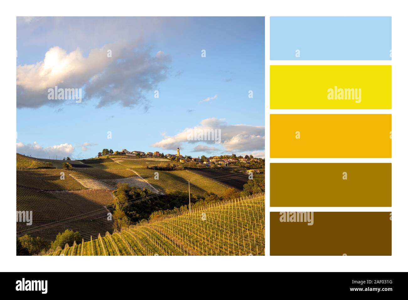 View of hills and valleys with vineyards in Alba Italy in a Color palette Swatches. Combination of color scheme for your design. Stock Photo