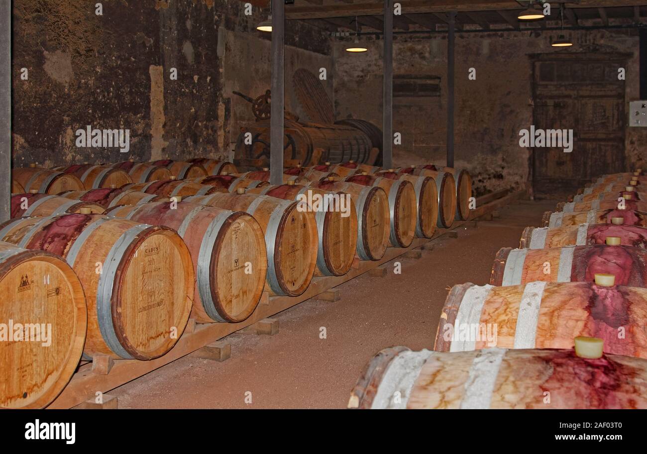 wine casks, wood, French oak, aging, cellar, alcohol, liquid, beverage, business, Georges du Boeuf Wine Museum and Winery; Beaujolais; Maconnais; Fran Stock Photo