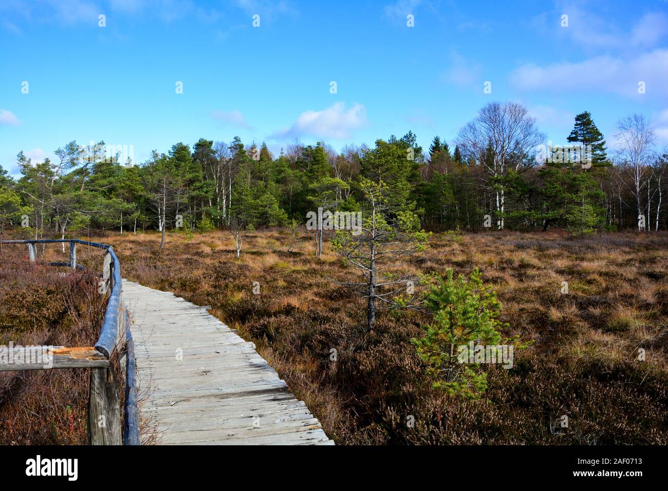 Black  moor with  path  in the Rhön, Bavaria, Germany, in autumn with blue sky Stock Photo