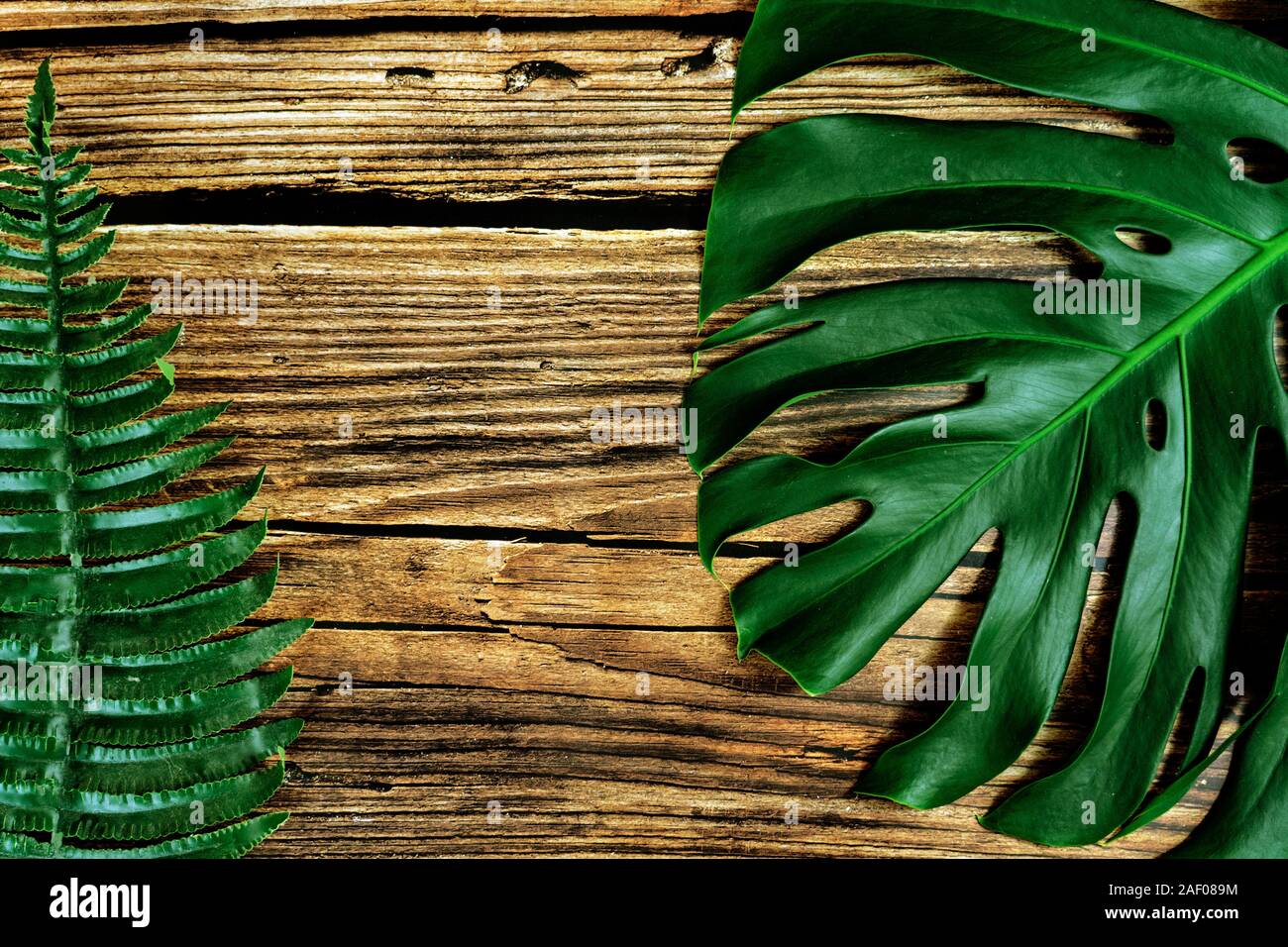 monstera philodendron leaf on brown wooden background natural design background concept . Stock Photo