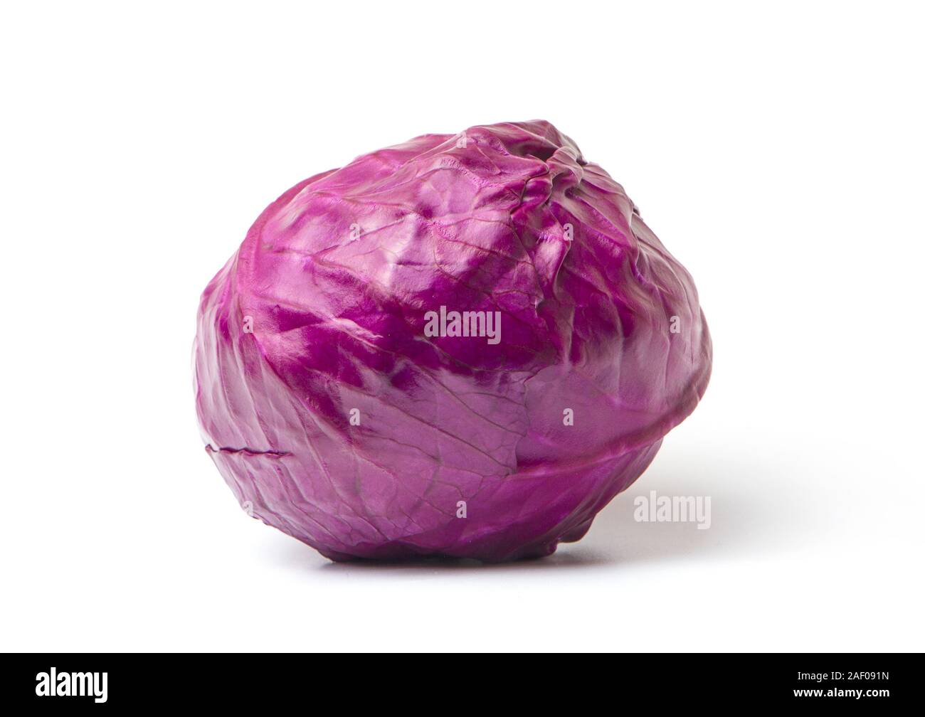 A head of purple cabbage white background. Stock Photo