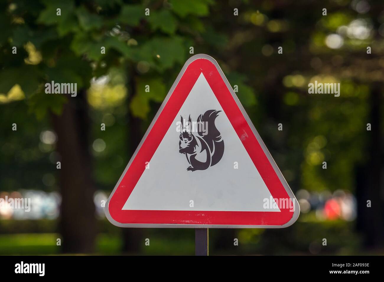 Warning sign about dangerous squirrels in the park of Petergof town ...
