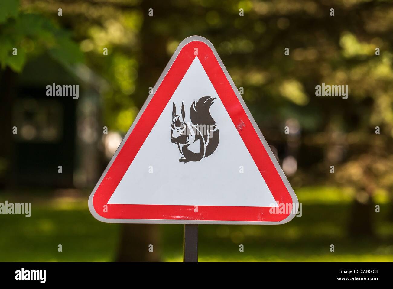 Warning sign about dangerous squirrels in the park of Petergof town ...