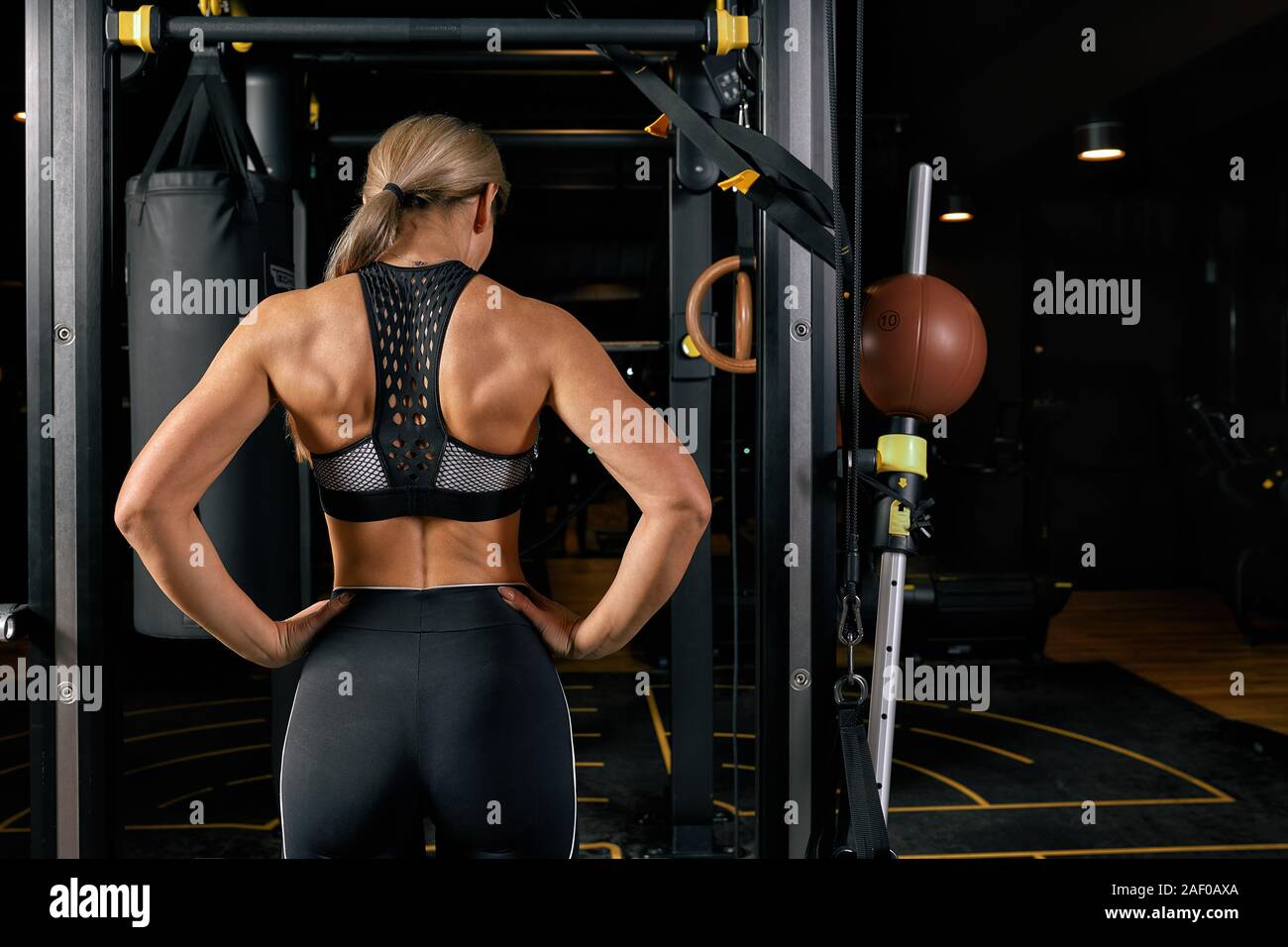 Woman bodybuilder back Stock Photo by ©fxquadro 43739735