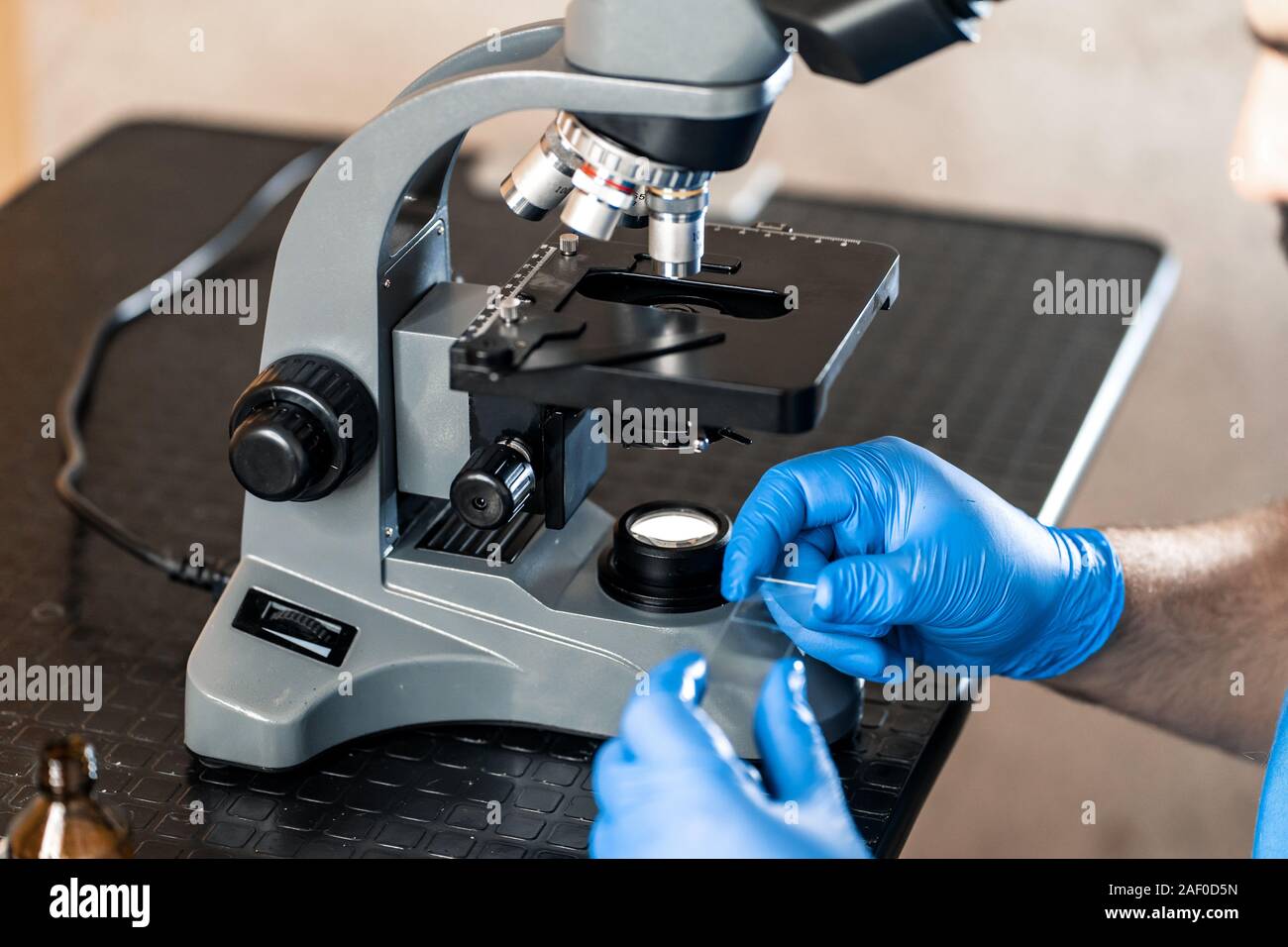 Examining Microscope Male laboratory assistant examining biomaterial samples in a microscope ...