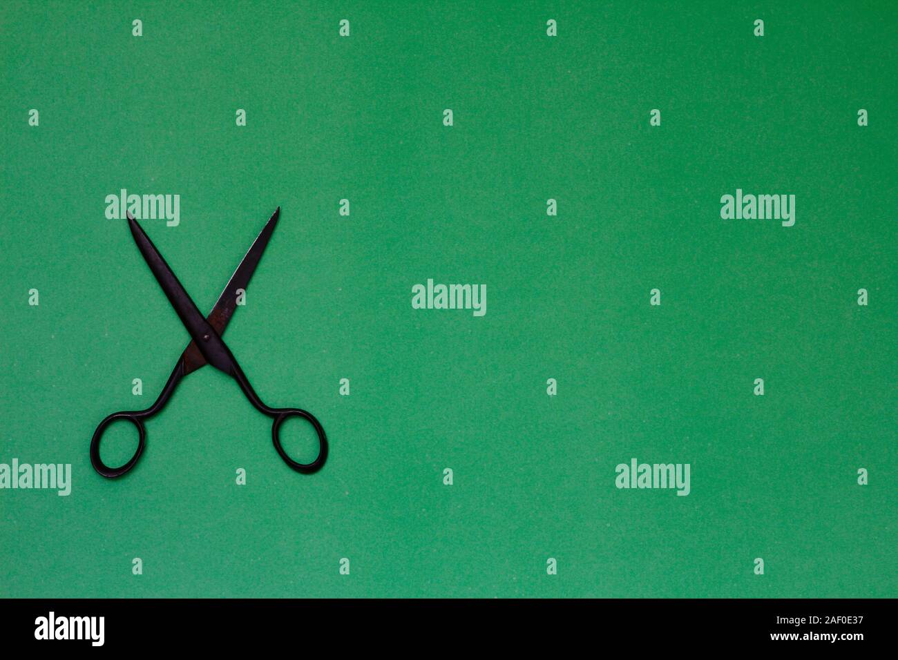 Single old soviet scissors isolated on green background Stock Photo