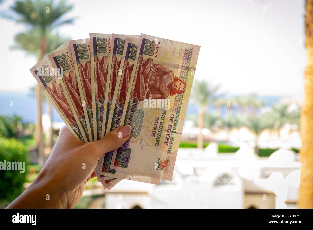 200 egyptian pounds hires stock photography and images Alamy 200 egyptian pounds hires stock photography and images Alamy