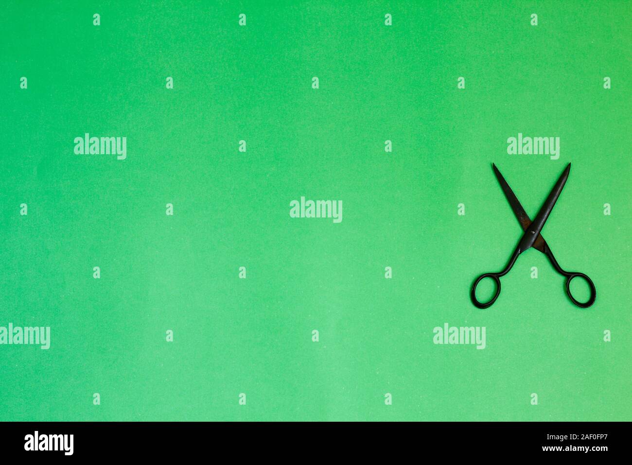 Single old soviet scissors isolated on green background Stock Photo