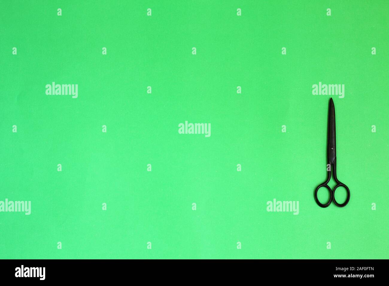 Single old soviet scissors isolated on green background Stock Photo