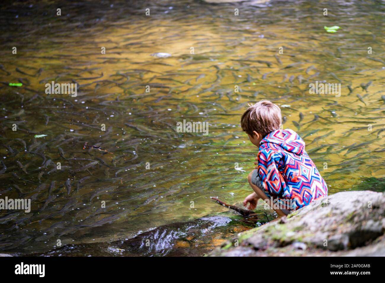 Young boy playing near water with fish Stock Photo