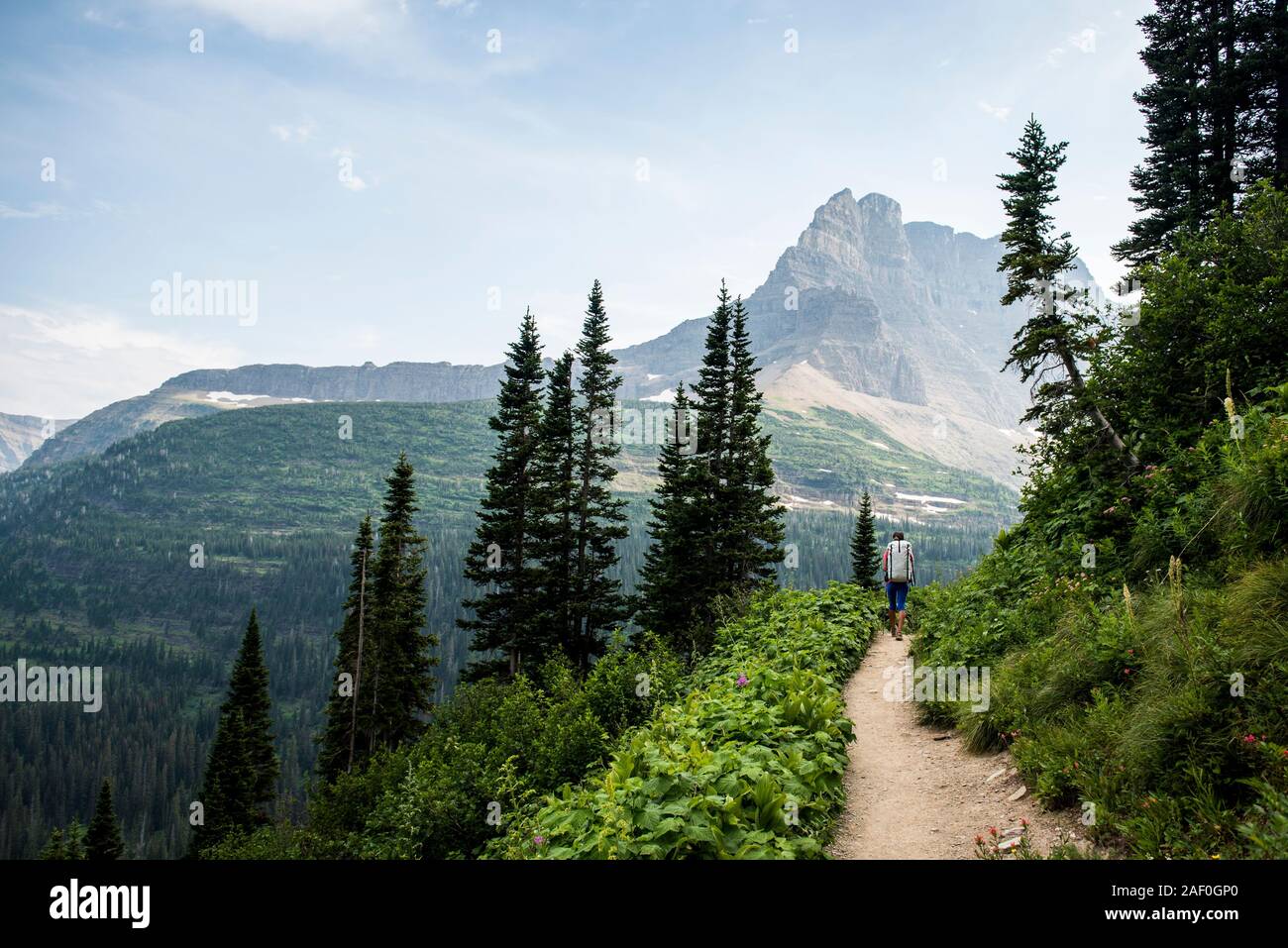 Rocky trail hi-res stock photography and images - Alamy