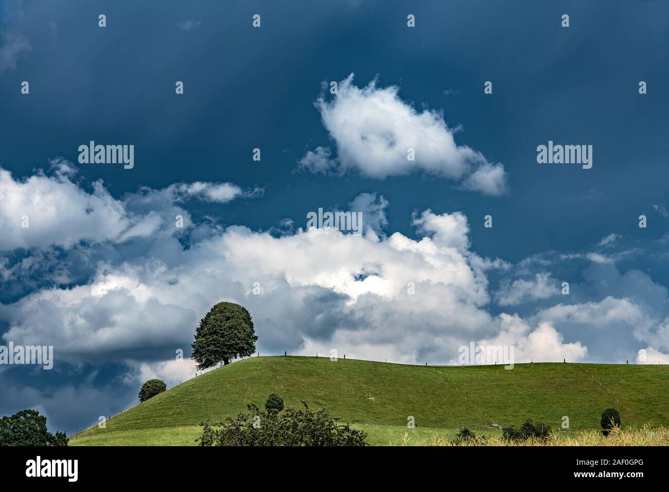A landscape in the Lucerne back country. A gathering summer storm makes the sky dark and some white clouds stand out well. A linden tree stands on a g Stock Photo