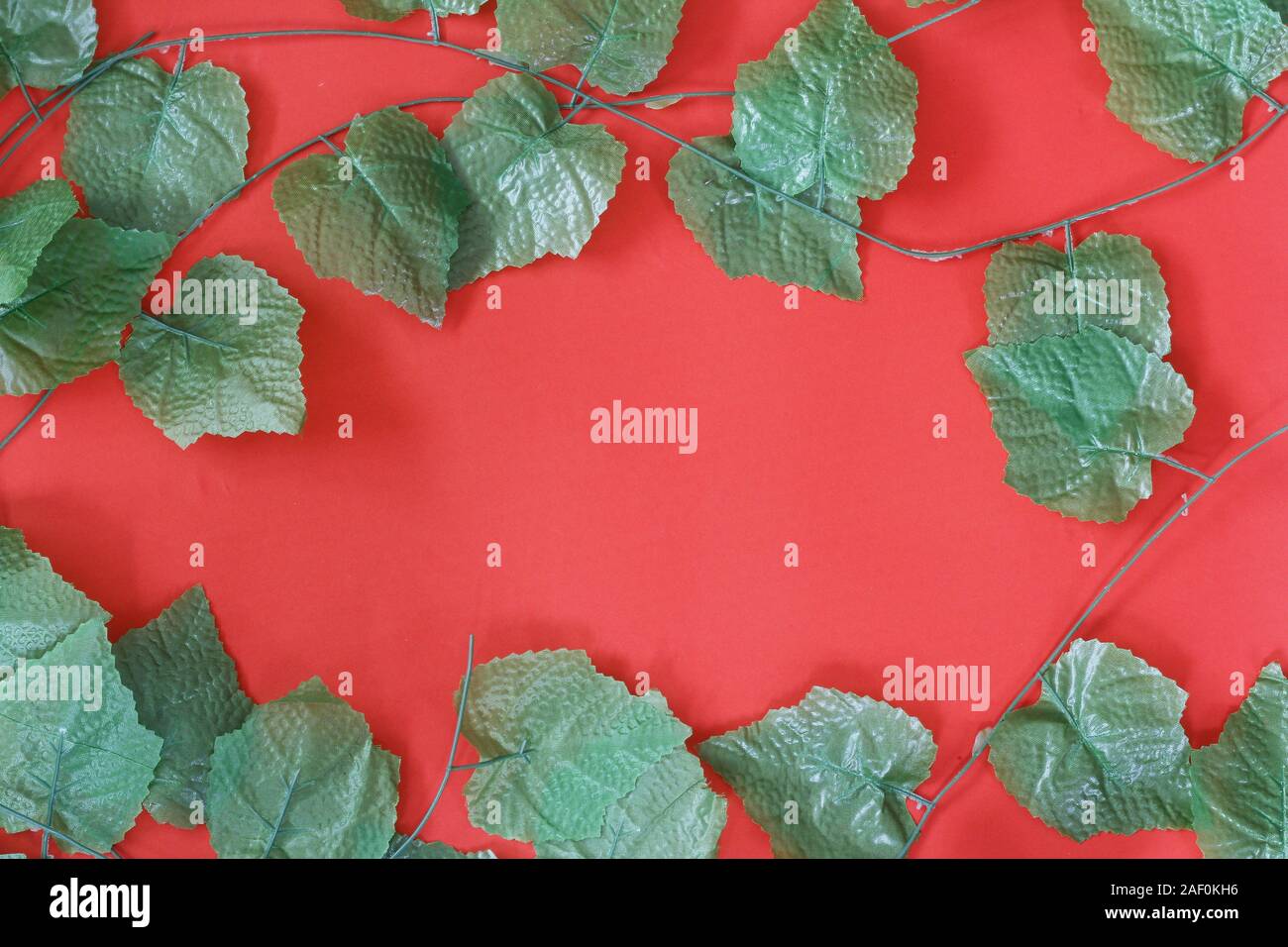 christmas background with poinsettia and holly berry Stock Photo - Alamy