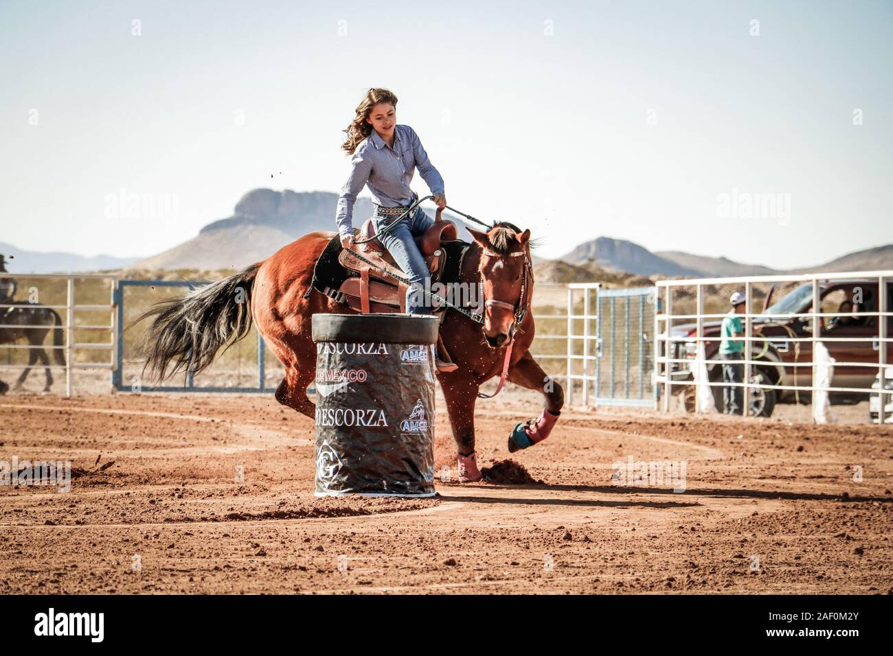 Barrel racing Rodeo Stock Photo