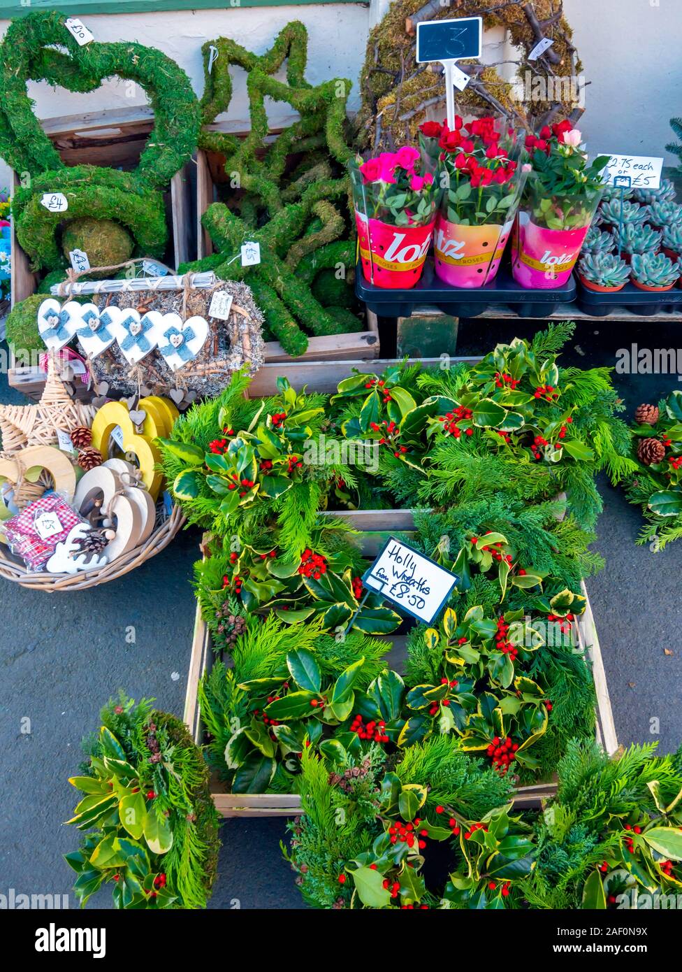 A display of Christmas wreaths holly and pot plants in Whitby North
