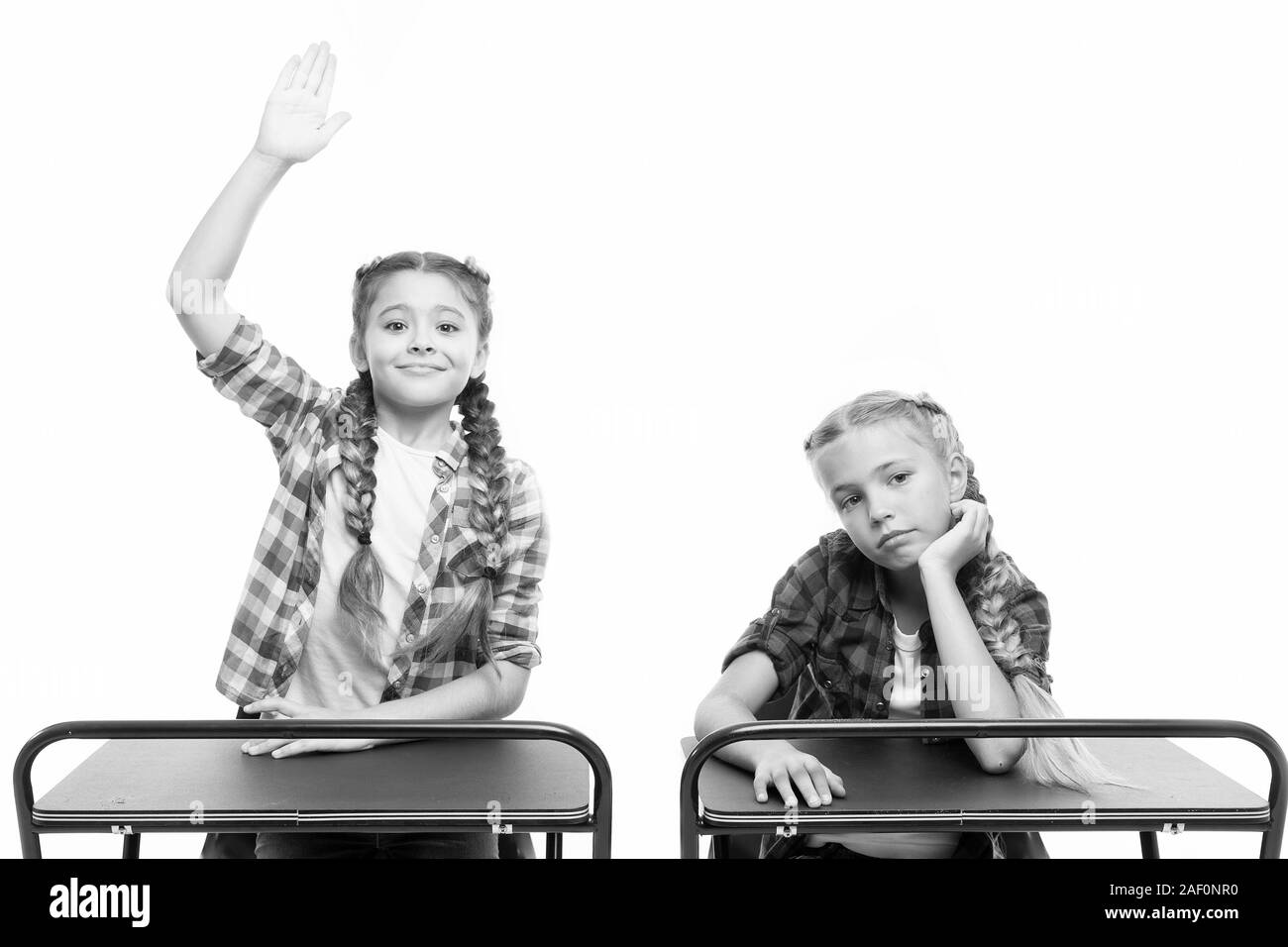 Back to their schooling. Adorable kids with raised hands sitting at desks isolated on white. Small schoolgirls having compulsory schooling. Little children enjoy home schooling. Schooling years. Stock Photo