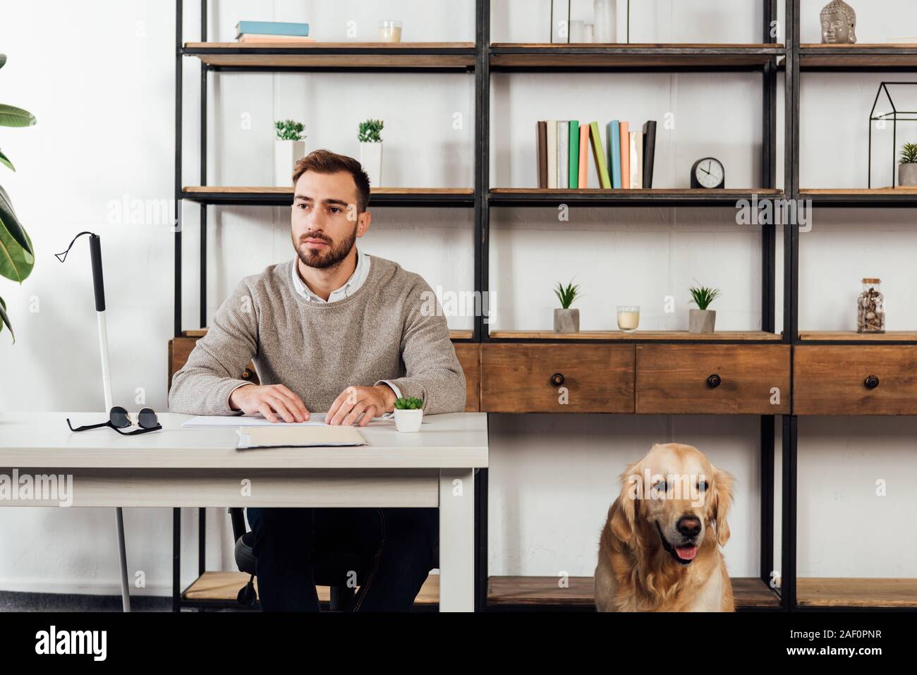 Blind man reading at table and golden retriever sitting beside Stock Photo