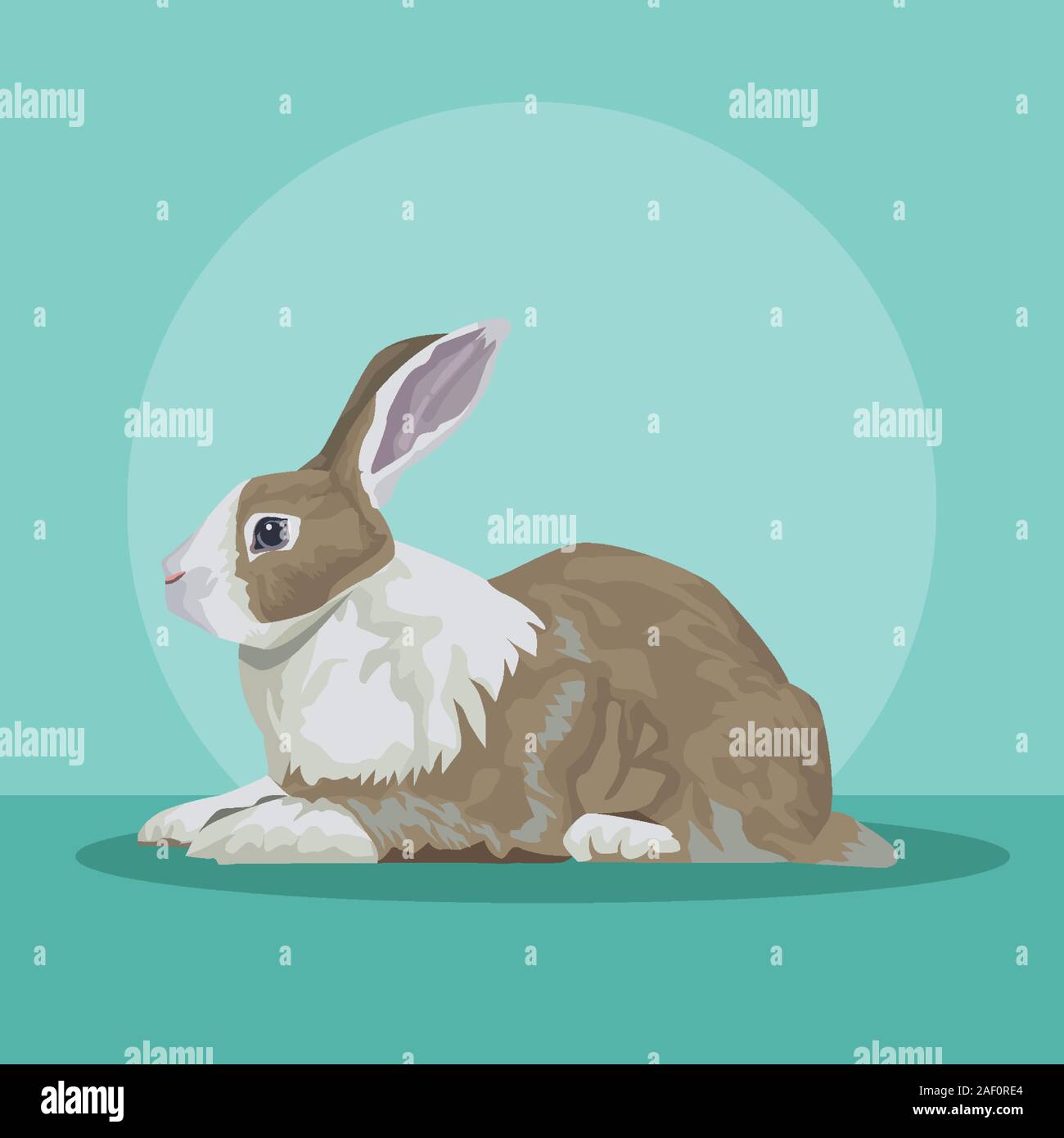 cute rabbit animal farm icon Stock Vector Image & Art - Alamy