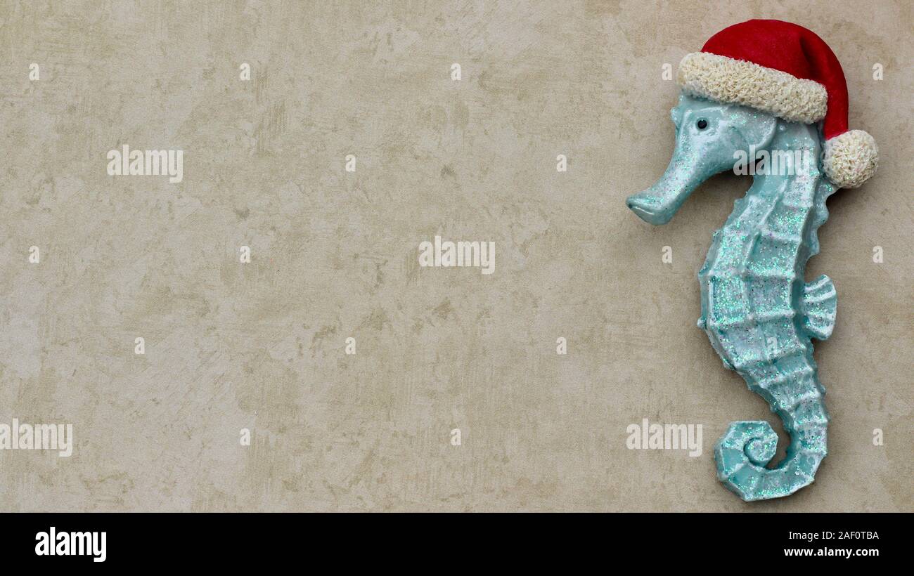 turquoise seahorse wearing Santa hat close up isolated on a festive sandy tan background with copy space Stock Photo