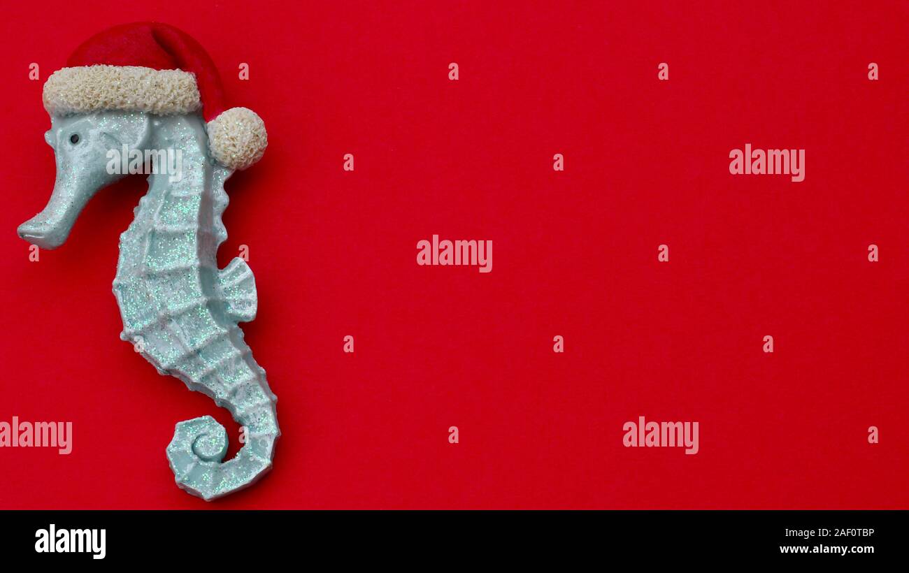 turquoise sea horse wearing Santa hat close up isolated on a festive red background with copy space Stock Photo