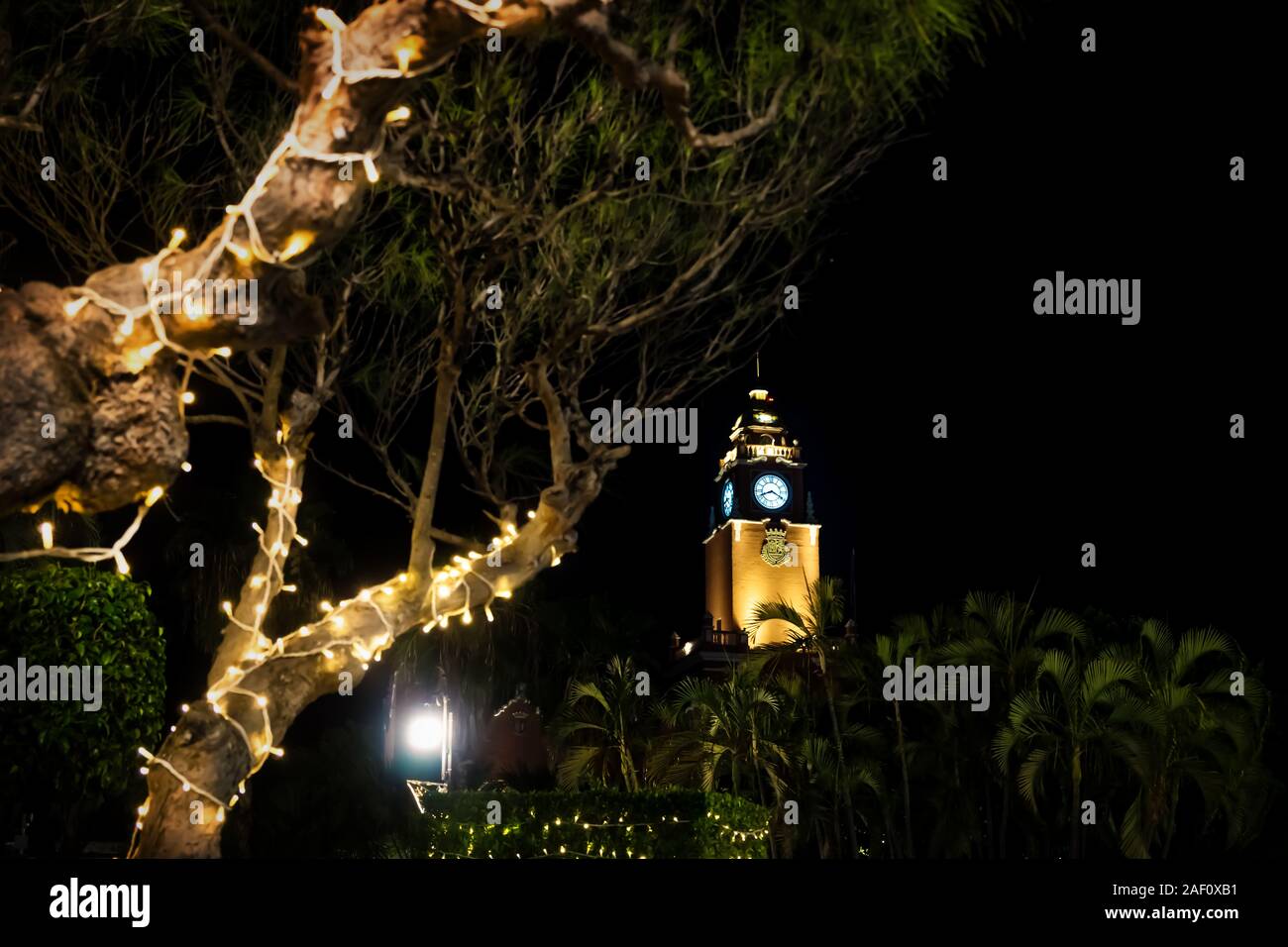 Christmas light decoration in trees with the clock tower of Palacio Municipal in Merida, Yucatan, Mexico Stock Photo